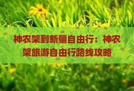 神农架到新疆自由行：神农架旅游自由行路线攻略