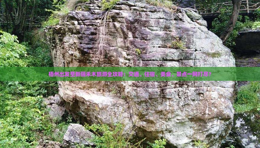梧州出发至新疆禾木旅游全攻略：交通、住宿、美食、景点一网打尽？
