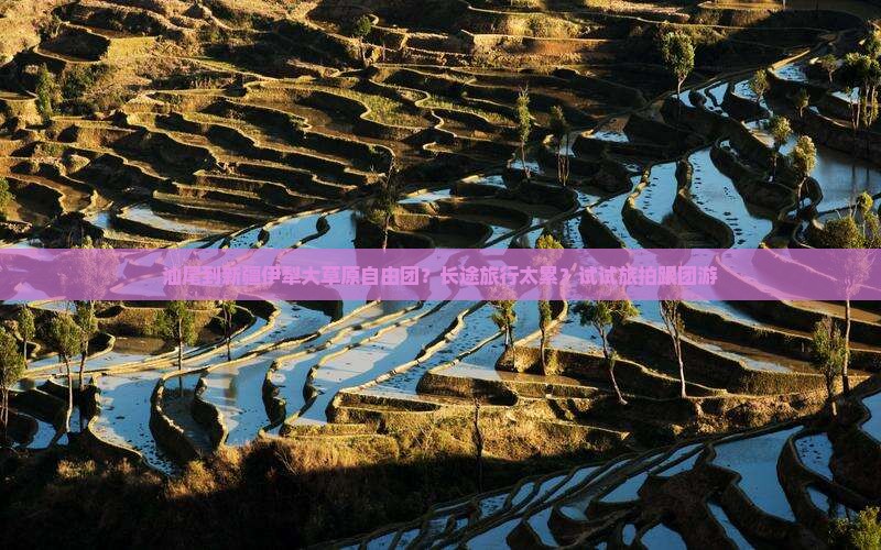 汕尾到新疆伊犁大草原自由团？长途旅行太累？试试旅拍跟团游