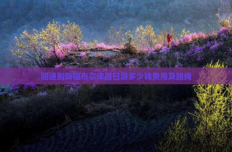 昭通到新疆布尔津四日游多少钱费用及路线