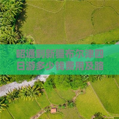 昭通到新疆布尔津四日游多少钱费用及路线