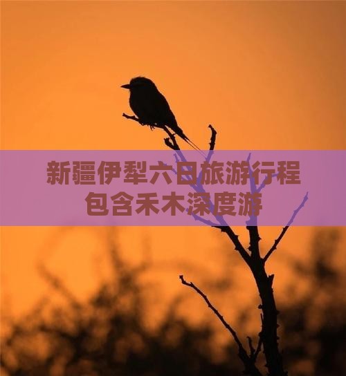 新疆伊犁六日旅游行程包含禾木深度游