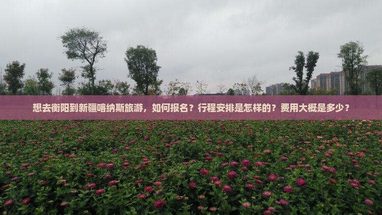 想去衡阳到新疆喀纳斯旅游，如何报名？行程安排是怎样的？费用大概是多少？