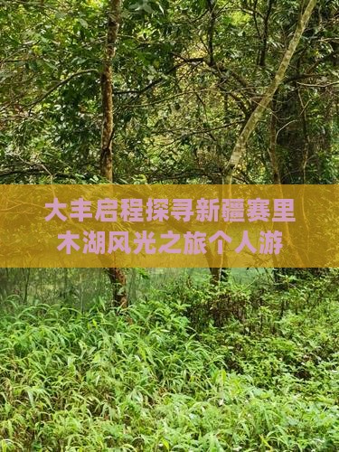 大丰启程探寻新疆赛里木湖风光之旅个人游