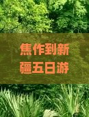 焦作到新疆五日游？担心时间太紧？来试试这波种草攻略！