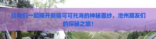 让我们一起揭开新疆可可托海的神秘面纱，沧州朋友们的探秘之旅！