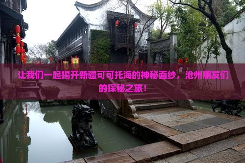 让我们一起揭开新疆可可托海的神秘面纱，沧州朋友们的探秘之旅！