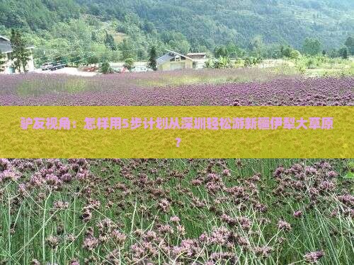驴友视角：怎样用5步计划从深圳轻松游新疆伊犁大草原？