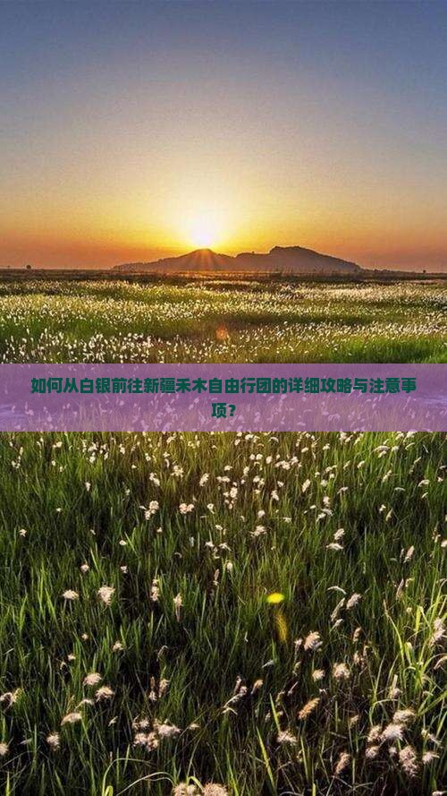 如何从白银前往新疆禾木自由行团的详细攻略与注意事项？