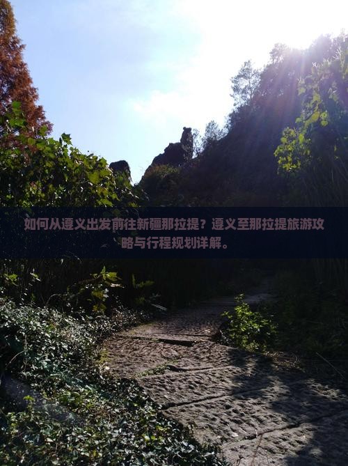如何从遵义出发前往新疆那拉提？遵义至那拉提旅游攻略与行程规划详解。
