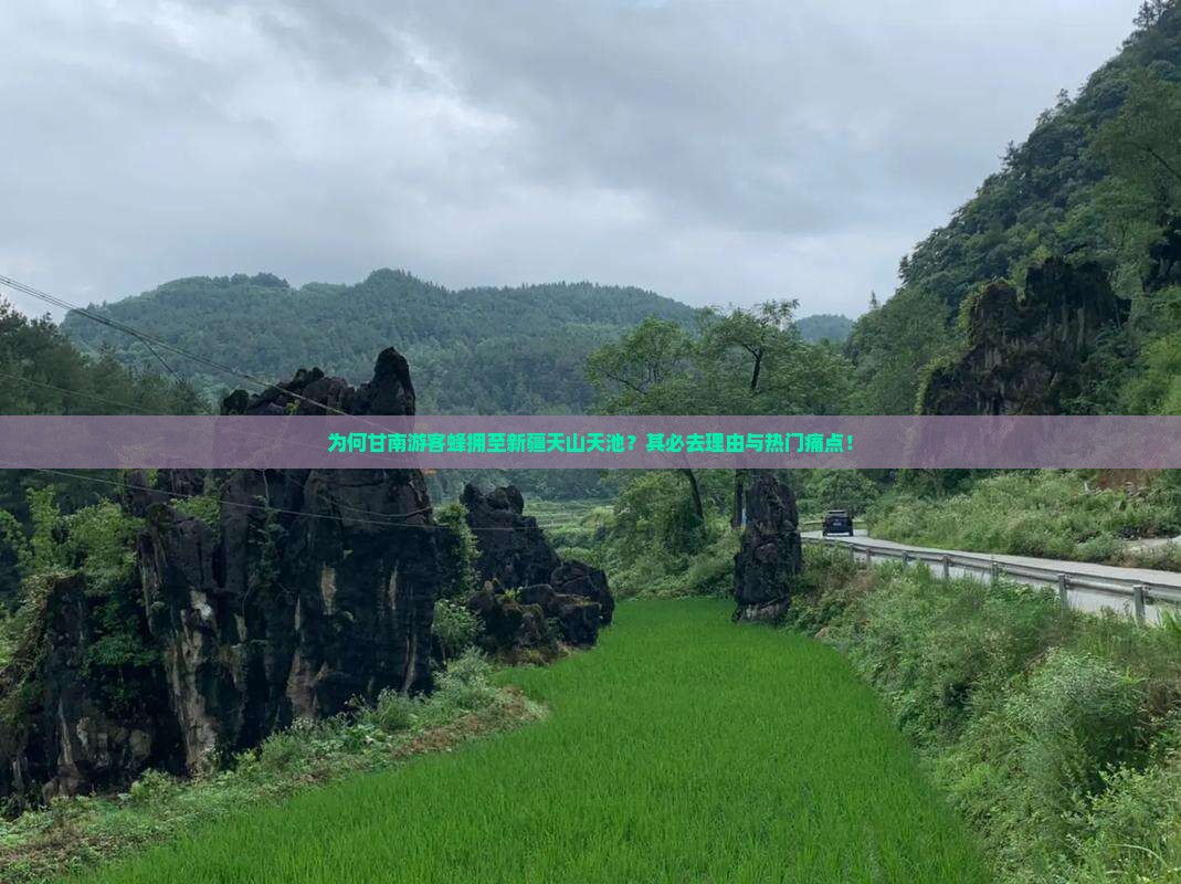 为何甘南游客蜂拥至新疆天山天池？其必去理由与热门痛点！