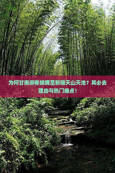 为何甘南游客蜂拥至新疆天山天池？其必去理由与热门痛点！