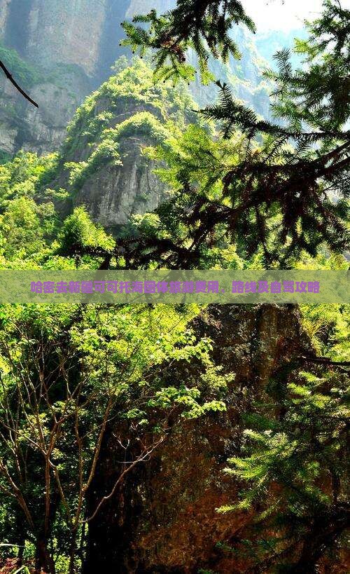 哈密去新疆可可托海团体旅游费用、路线及自驾攻略