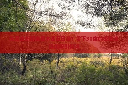 元旦去新疆赛里木湖五日游？零下30度的极致浪漫能吸引你吗