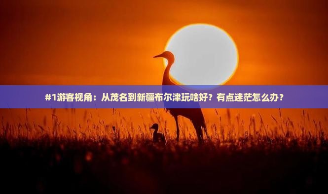 #1游客视角：从茂名到新疆布尔津玩啥好？有点迷茫怎么办？