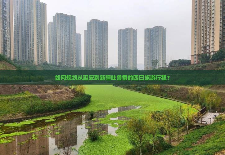 如何规划从延安到新疆吐鲁番的四日旅游行程？
