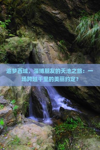 追梦西域，淄博朋友的天池之旅：一场跨越千里的美丽约定？