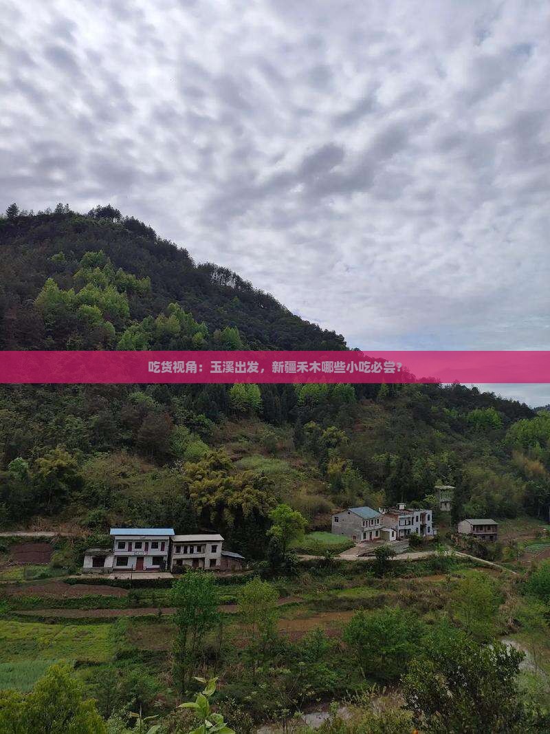 吃货视角：玉溪出发，新疆禾木哪些小吃必尝？