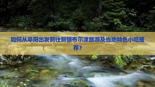 如何从阜阳出发前往新疆布尔津旅游及当地特色小吃推荐？