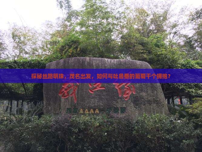 探秘丝路明珠，茂名出发，如何与吐鲁番的葡萄干个拥抱？