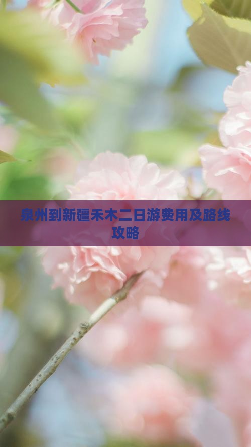泉州到新疆禾木二日游费用及路线攻略