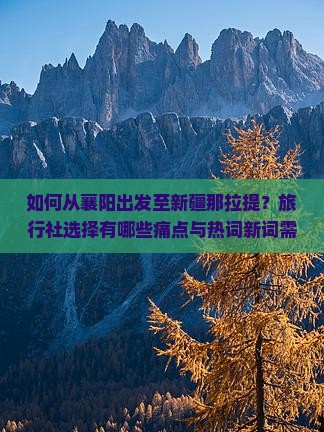 如何从襄阳出发至新疆那拉提？旅行社选择有哪些痛点与热词新词需关注？
