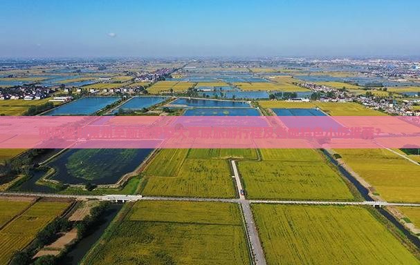 如何规划常州至新疆伊犁大草原旅游行程及当地特色小吃推荐？