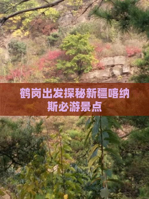 鹤岗出发探秘新疆喀纳斯必游景点