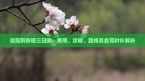 信阳到新疆三日游：费用、攻略、路线及自驾时长解析