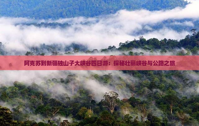 阿克苏到新疆独山子大峡谷四日游：探秘壮丽峡谷与公路之旅