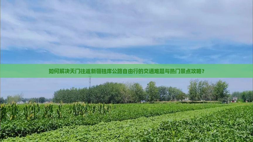 如何解决天门往返新疆独库公路自由行的交通难题与热门景点攻略？