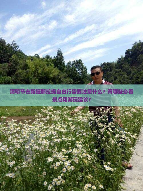 清明节去新疆那拉提自由行需要注意什么？有哪些必看景点和游玩建议？