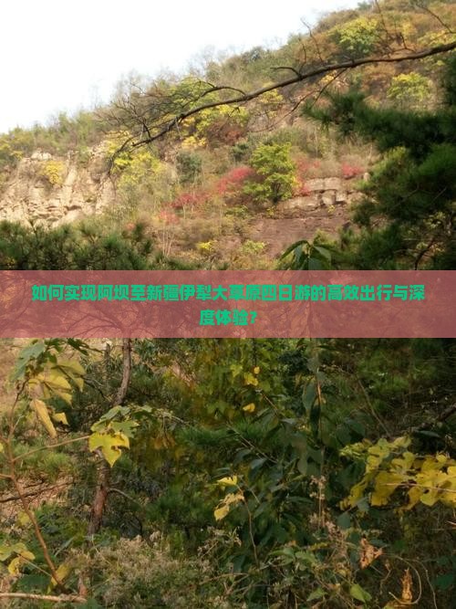 如何实现阿坝至新疆伊犁大草原四日游的高效出行与深度体验？