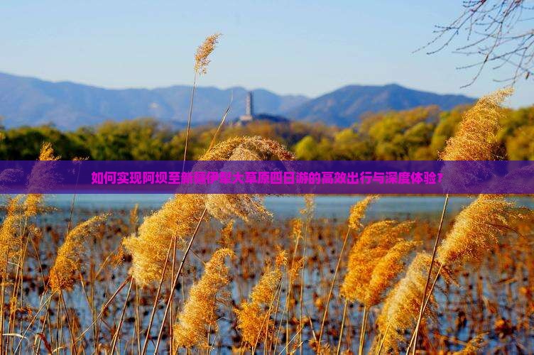如何实现阿坝至新疆伊犁大草原四日游的高效出行与深度体验？