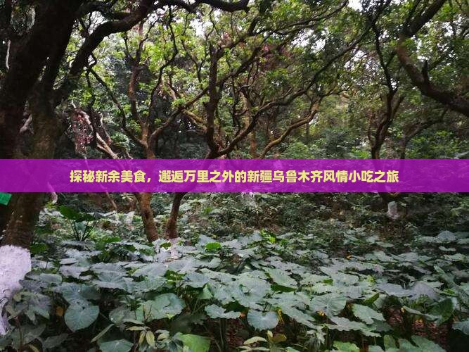 探秘新余美食，邂逅万里之外的新疆乌鲁木齐风情小吃之旅