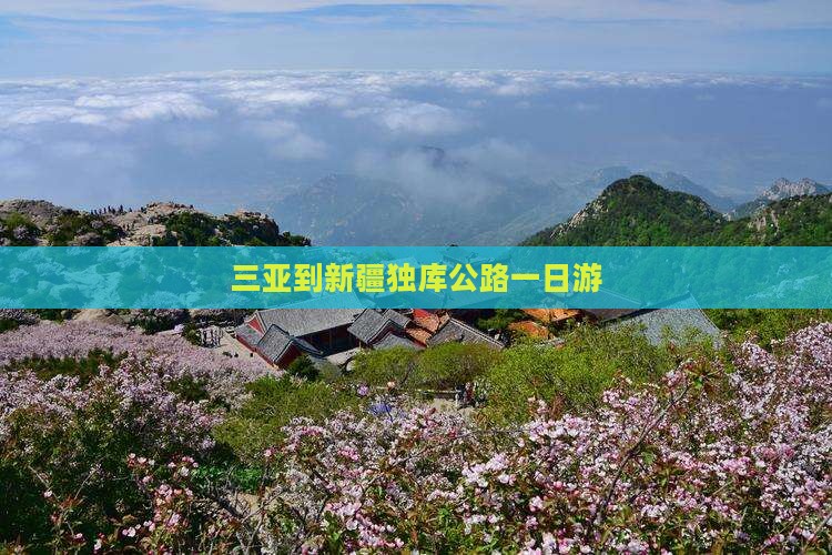 三亚到新疆独库公路一日游