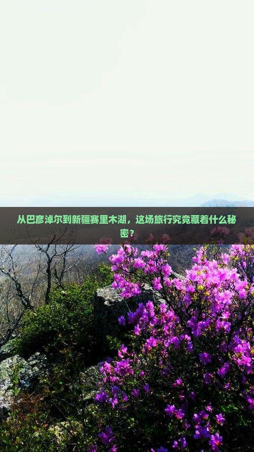 从巴彦淖尔到新疆赛里木湖，这场旅行究竟藏着什么秘密？