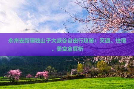 永州去新疆独山子大峡谷自由行攻略：交通、住宿、美食全解析