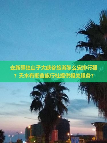 去新疆独山子大峡谷旅游怎么安排行程？天水有哪些旅行社提供相关服务？