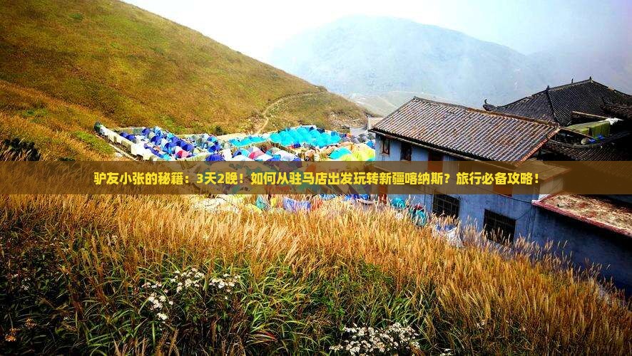 驴友小张的秘籍：3天2晚！如何从驻马店出发玩转新疆喀纳斯？旅行必备攻略！