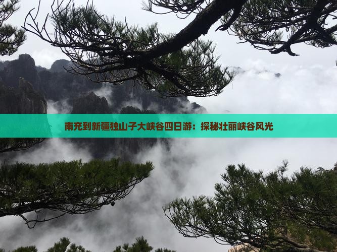 南充到新疆独山子大峡谷四日游：探秘壮丽峡谷风光