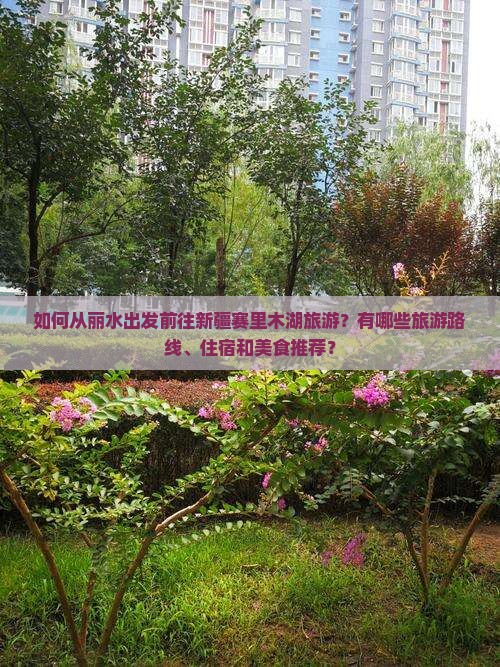 如何从丽水出发前往新疆赛里木湖旅游？有哪些旅游路线、住宿和美食推荐？