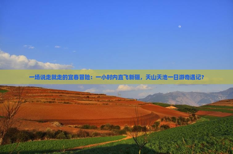 一场说走就走的宜春冒险：一小时内直飞新疆，天山天池一日游奇遇记？