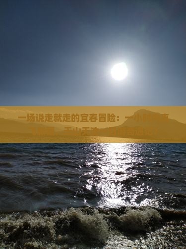 一场说走就走的宜春冒险：一小时内直飞新疆，天山天池一日游奇遇记？