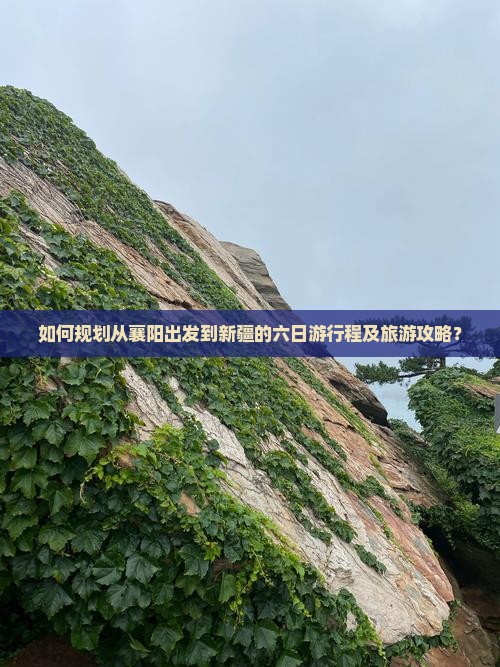 如何规划从襄阳出发到新疆的六日游行程及旅游攻略？