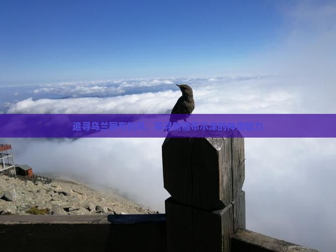 追寻乌兰察布的风，探寻新疆布尔津的神奇魅力