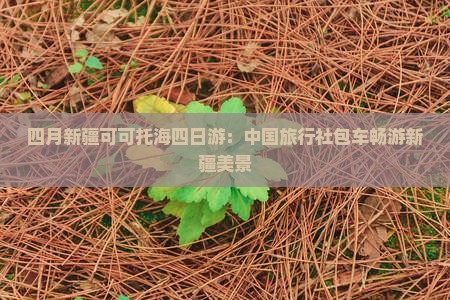 四月新疆可可托海四日游：中国旅行社包车畅游新疆美景