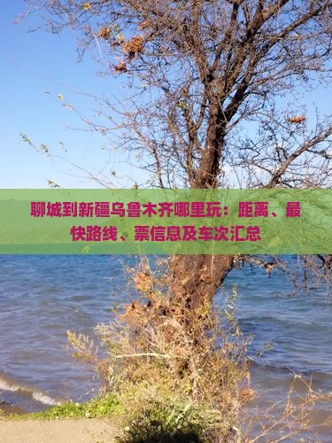聊城到新疆乌鲁木齐哪里玩：距离、最快路线、票信息及车次汇总