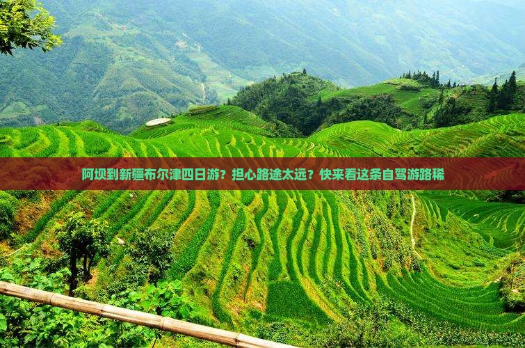 阿坝到新疆布尔津四日游？担心路途太远？快来看这条自驾游路稀