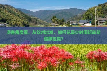 游客角度看，从钦州出发，如何花最少时间玩转新疆那拉提？